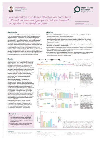 Four candidate avirulence effectors contribute to Psa3 recognition in Actinidia arguta