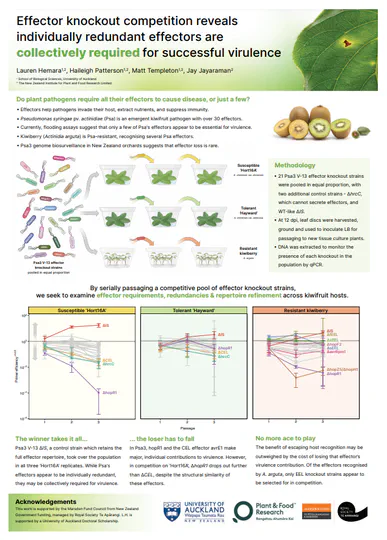 Effector knockout competition reveals individually redundant effectors are collectively required for successful virulence