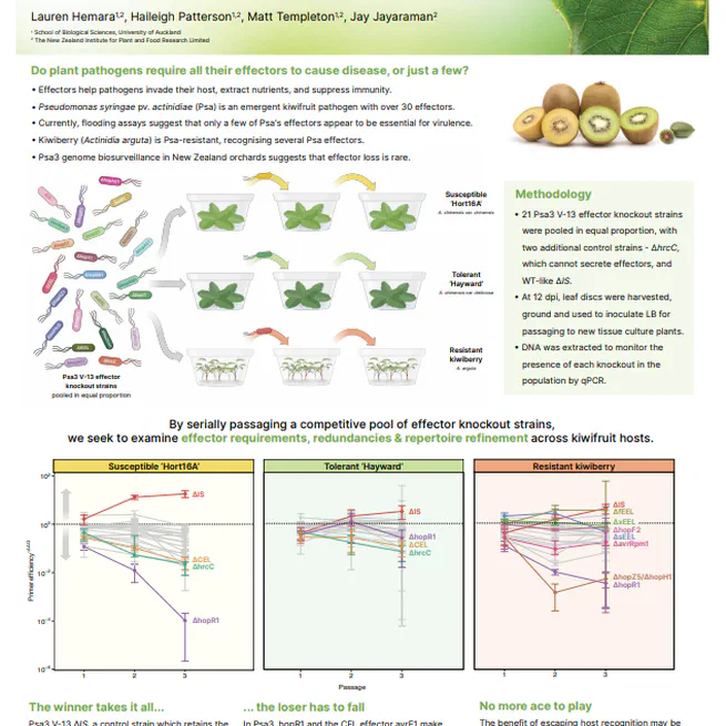 Effector knockout competition reveals individually redundant effectors are collectively required for successful virulence