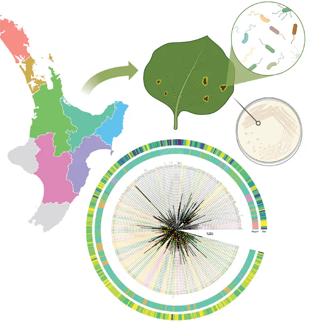 Genomic biosurveillance of the kiwifruit pathogen Pseudomonas syringae pv. actinidiae biovar 3 reveals adaptation to selective pressures in New Zealand orchards