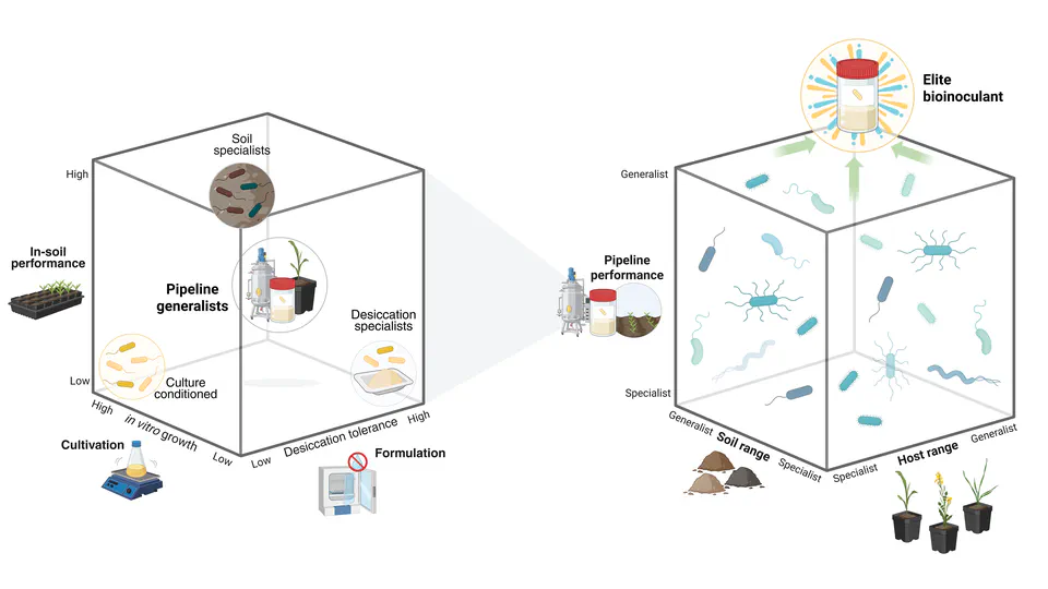 Fit for purpose: evaluation and evolution of agricultural bioinoculants across production landscapes