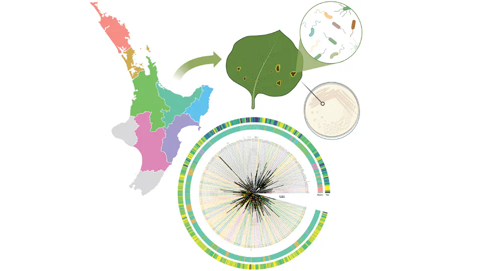 Genomic biosurveillance of the kiwifruit pathogen Pseudomonas syringae pv. actinidiae biovar 3 reveals adaptation to selective pressures in New Zealand orchards